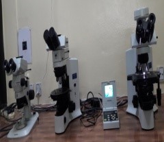 Camera Fitted Microscopes
